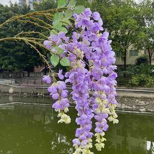 仿真假花仿真阿勃勒催挂花 塑料壁挂花垂吊室内吊顶婚庆装饰挂花