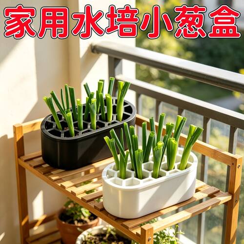 热销：2个水培葱蒜种植盒