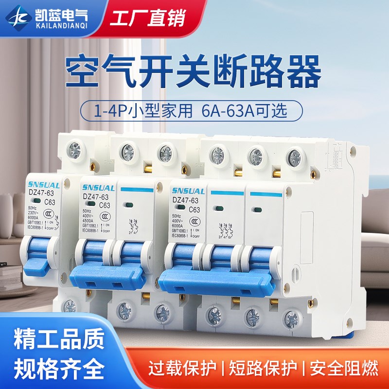 空气开关DZ47家用空开1P小型断路器220V短路保护器2P总闸 63A C45