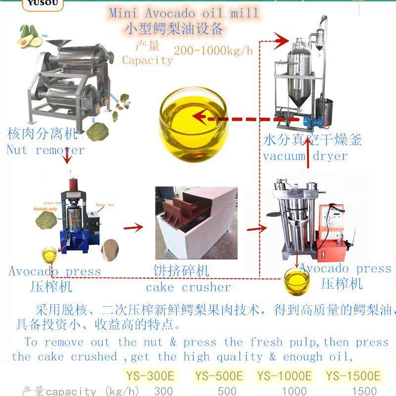 鳄梨牛油果榨油设备,成套鳄梨牛油果油机器设备avocadooilmill