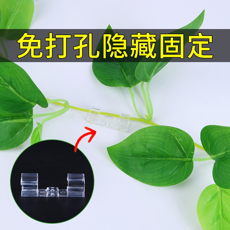 绿萝固定神器花架上墙月季植物爬藤架自粘免打孔卡扣藤蔓挂钩夹扣