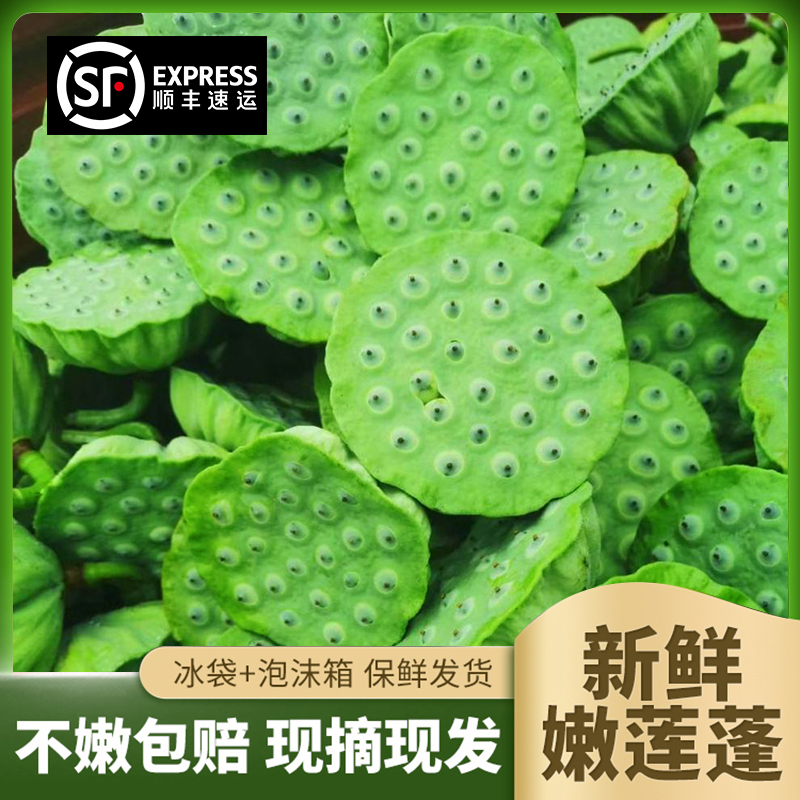 顺丰 新鲜莲蓬现摘生吃水果莲子当季生鲜嫩莲蓬子带杆带芯吃脆甜
