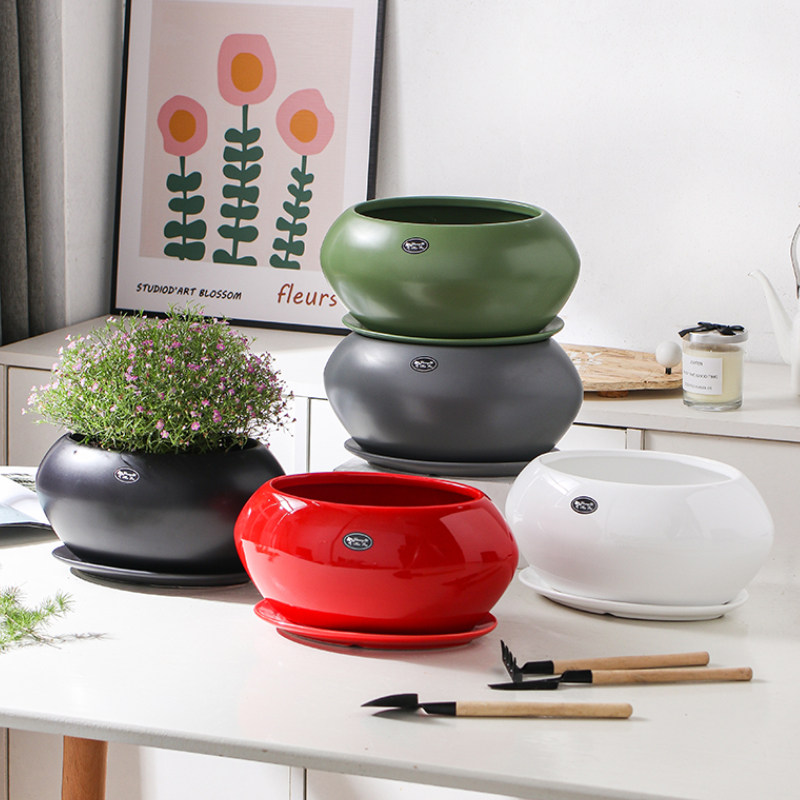 陶瓷花盆北欧简约创意椭圆形花卉带托盘家用客厅绿植绿萝兰花盆景,鲜花速递/花卉仿真/绿植园艺,花盆,淘宝优惠券,粉丝福利购,淘宝优惠卷