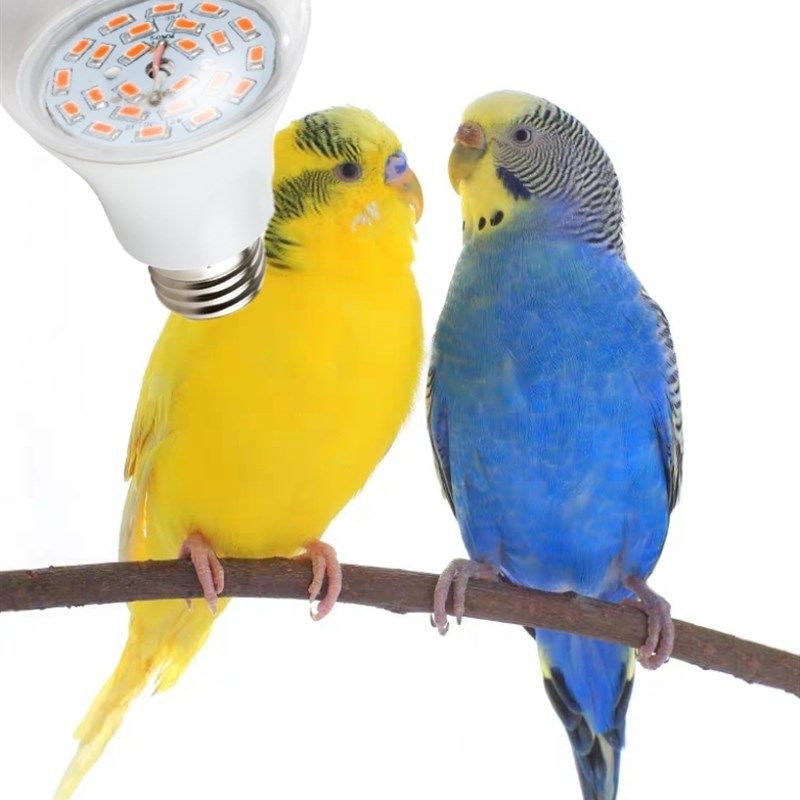 地下室鹦鹉LED宠物太阳光UVB补钙大棚养殖生长补光灯泡乌龟晒背灯,家装灯饰光源,LED球泡灯,淘宝优惠券,粉丝福利购,淘宝优惠卷