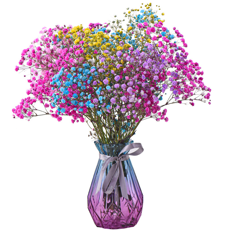 满天星干花花束客厅摆设轻奢干花真花瓶插装饰摆件鲜云南天然大束,鲜花速递/花卉仿真/绿植园艺,干花,淘宝优惠券,粉丝福利购,淘宝优惠卷