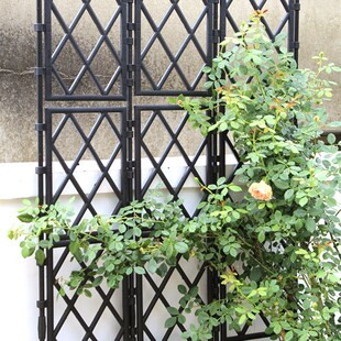 月季爬藤架山乌龟户外花园攀爬支架庭院植物室外葡萄架网格花架子