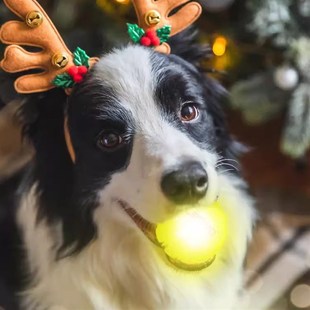 LaRoo莱诺狗狗玩具耐咬磨牙发光球金毛解闷益智互动巡回宠物玩具