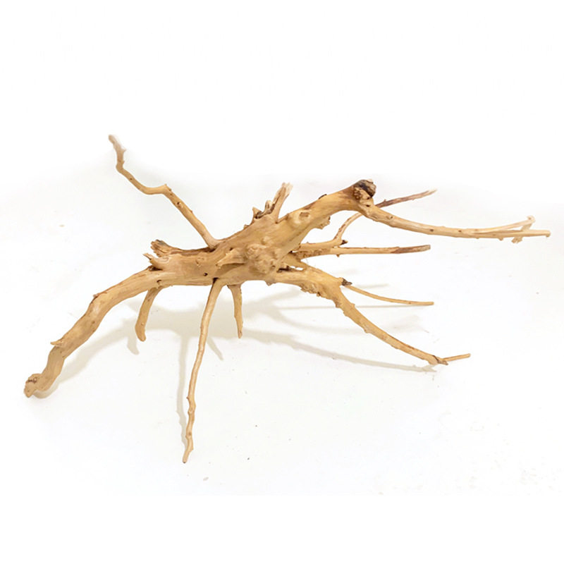 爬宠树藤树枝守宫睫角鬃狮晒背攀爬树栖天然杜鹃根爬宠饲养缸造景,宠物/宠物食品及用品,爬宠清洁及日用品,淘宝优惠券,粉丝福利购,淘宝优惠卷