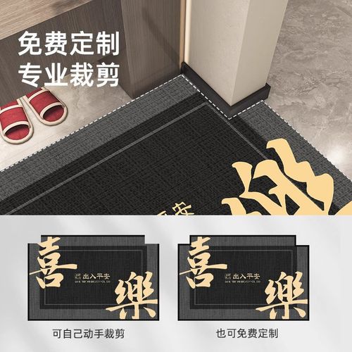 地垫入户门垫2024新款进门门口脚垫高端防滑耐脏玄关地毯门外脚垫