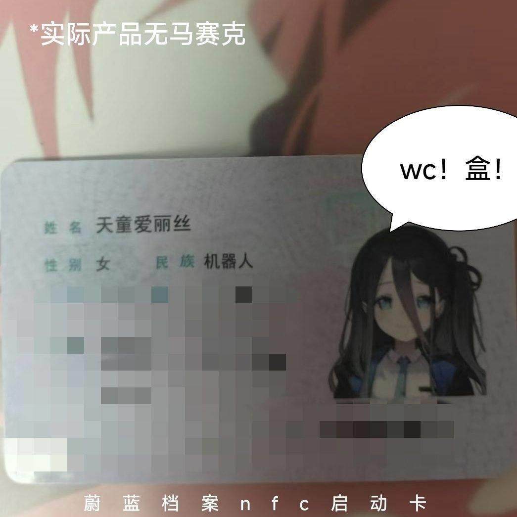 .碧蓝档案nfc启动卡天童爱丽丝才羽桃井证件身份证抽象同人二创