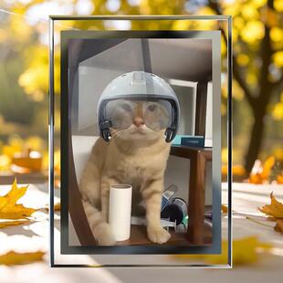 网红可爱小猫圆头耄耋键帽创意趣味摆件水晶玻璃相框桌面装饰礼物