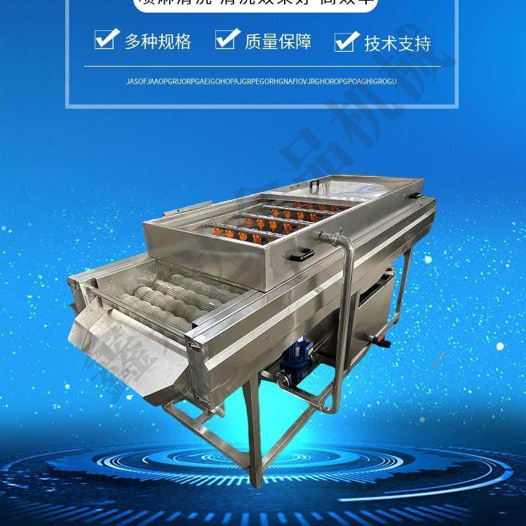 粽叶鼓泡喷淋双面毛辊清洗机芭蕉叶枇杷叶小型清洗设备