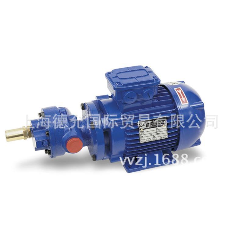 意大利原装进口GVR系列泵产品