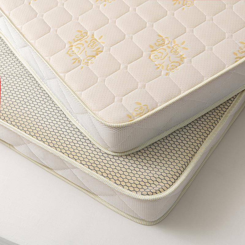 乳胶海绵记忆棉加厚床垫榻榻米地垫宿舍睡垫超软铺底