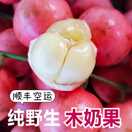 三丫果木奶果稀有罕见水果云南野果非龙宫果山竹 精品现摘包邮