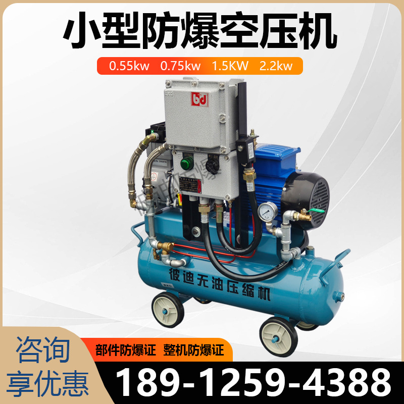 220V小型防爆空压机无油1.5KW加油站天然气bt4微型空气压缩机