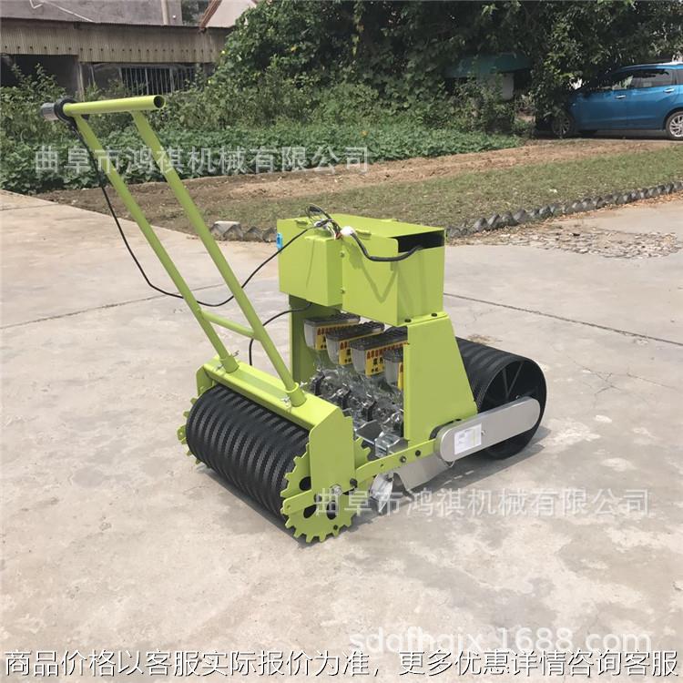 昌邑免间苗白菜种子播种机 小型蔬菜播种机 香菜播种机K