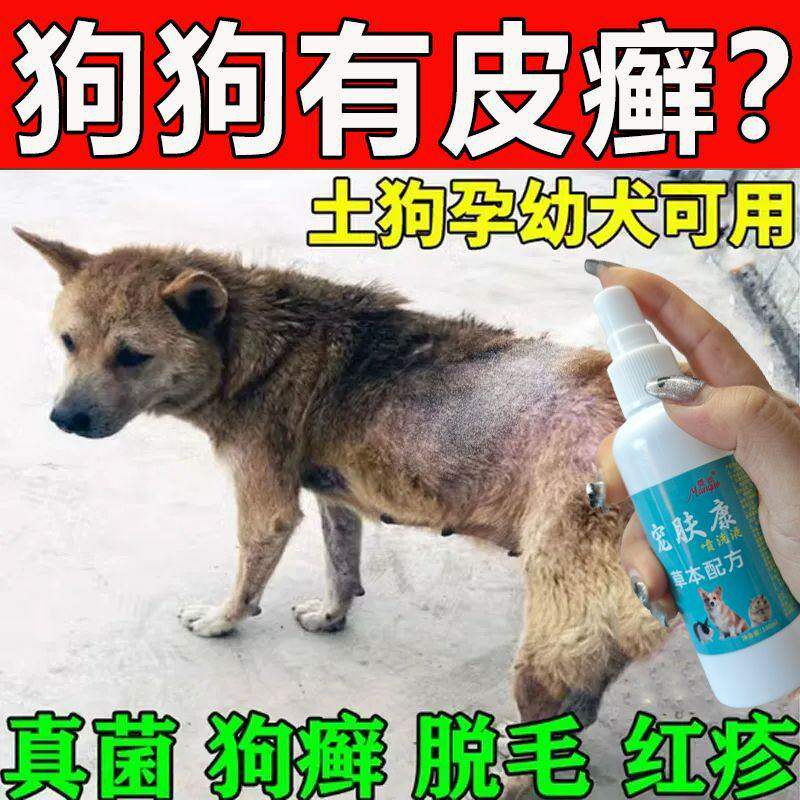狗狗皮肤病藓专用药宠物狗身上长癣真菌感染外用喷剂宠物喷喷雾