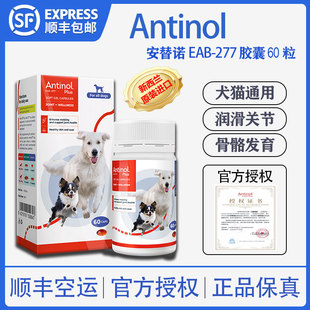 新西兰Antinol安替诺277髌骨脱位软骨素狗猫宠物关节骨刺炎瘸腿