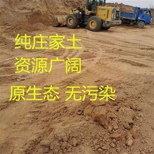 海棠花梅花木本植物田园土无污染不结板绿植花卉苗木种菜种花包邮