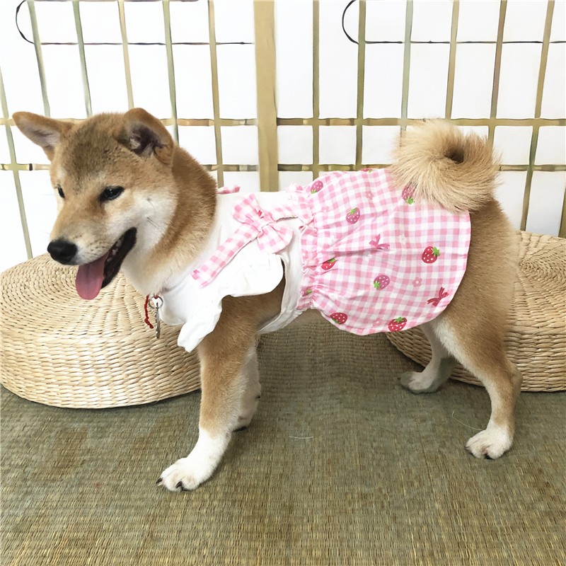 纯棉宠物草莓连衣裙子全棉猫咪狗狗中小型犬柯基法斗柴犬泰迪衣服