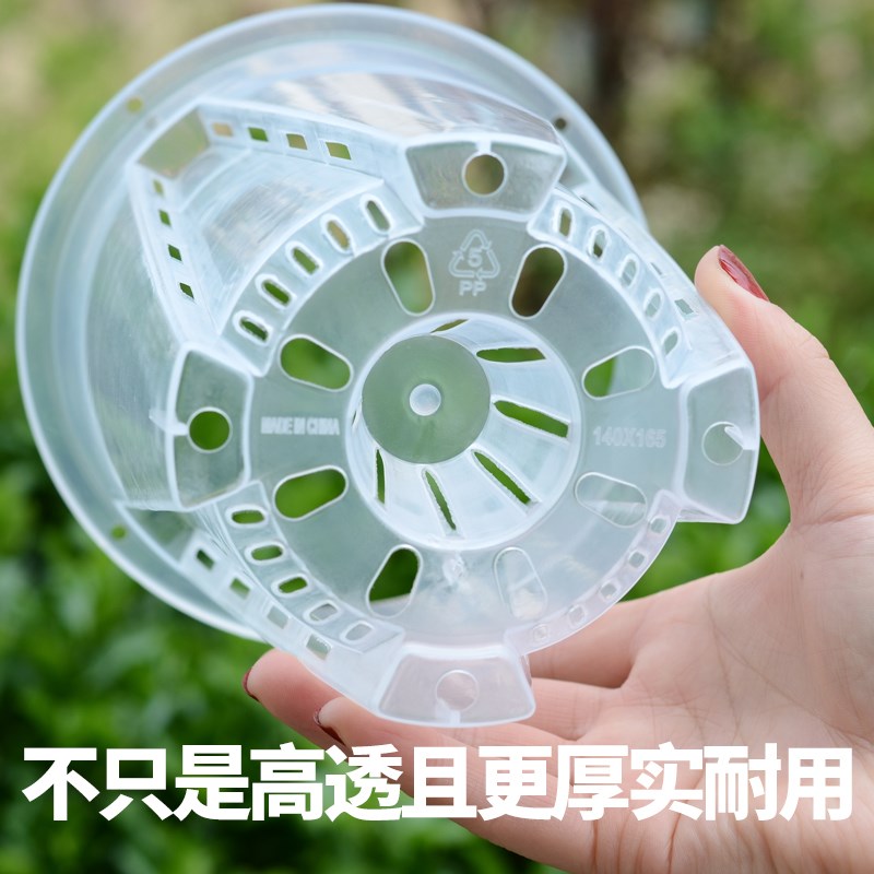 蝴蝶兰专用花盆透明轻奢高级感高档适合蝴蝶兰花盆塑料蝴蝶兰花盆