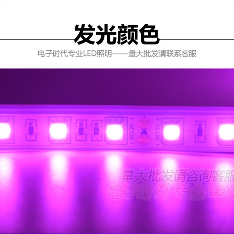 12V伏粉色灯带5050粉紫色贴片软灯条LED灯带 汽车12V防水软灯条