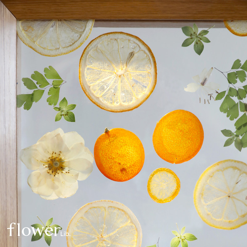 [水果派]植物图书馆全国速递干燥花压花相框创意摆件生日手工礼物,鲜花速递/花卉仿真/绿植园艺,干花,淘宝优惠券,粉丝福利购,淘宝优惠卷