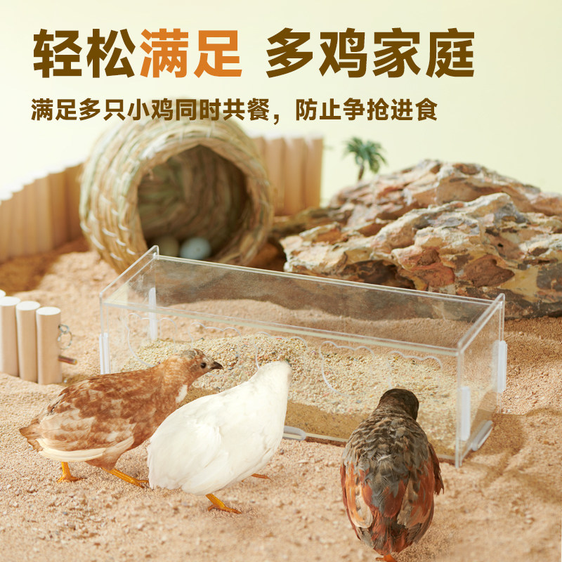 芦丁鸡喂食器食盒自动喂水器小鸡饮水器喝水台饲料和食盆食槽水壶,宠物/宠物食品及用品,鸟禽喂食器/喂水器,淘宝优惠券,粉丝福利购,淘宝优惠卷