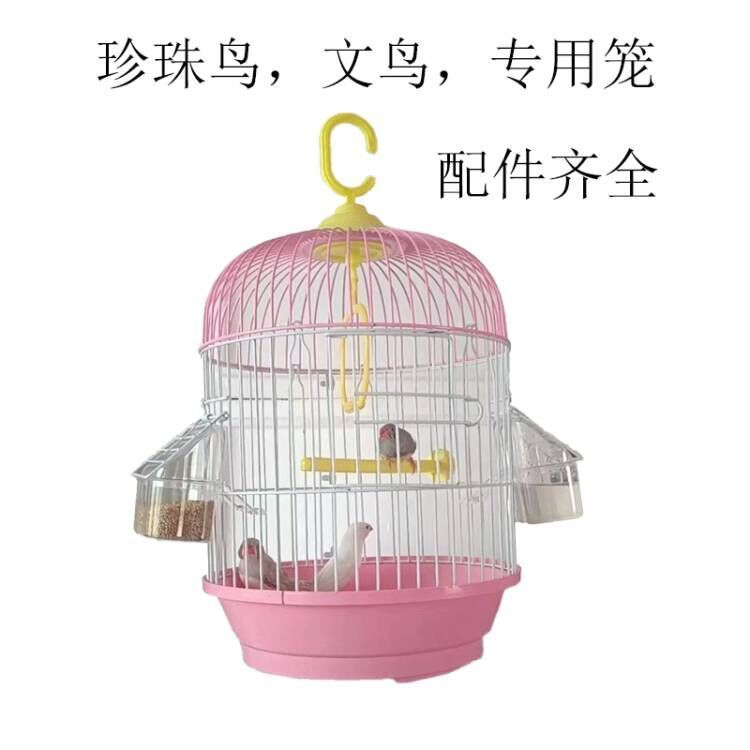 儿童宠物文鸟珍珠鸟驼色元宝鸽八活哥鸟保姆鸟七彩文雀鸟包活到家