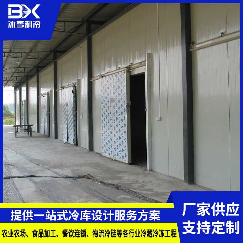 广东冰雪制冷设备 大型冷藏库速冻库 防火阻燃食品冷冻库设计安装