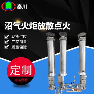 沼气火炬放散点火 内燃式全封闭沼气火炬 养殖场沼气燃烧器