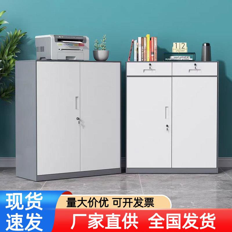 文件柜办公室铁皮柜财务资料办公柜钢制带锁储物柜收纳柜矮柜