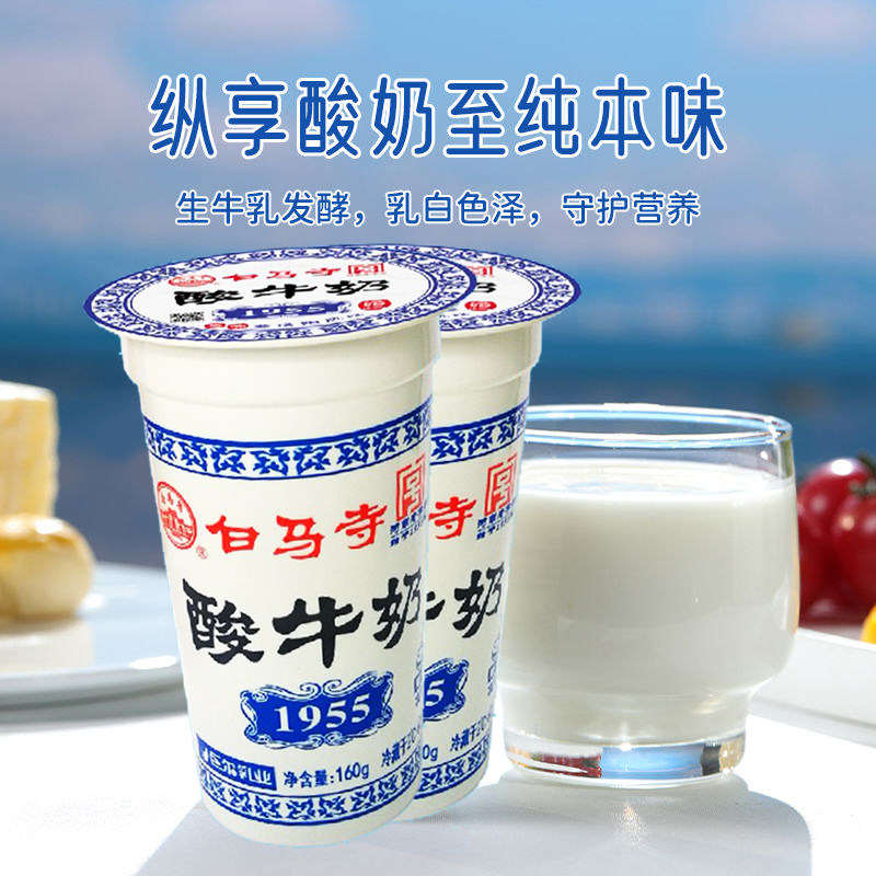 洛阳白马寺酸奶杯装160g/杯风味酸牛奶生牛乳发酵学生营养早餐奶图片