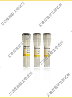 用于qPCR的UnionScript第一链cDNA合成混合物，高效RT-PCR预混液