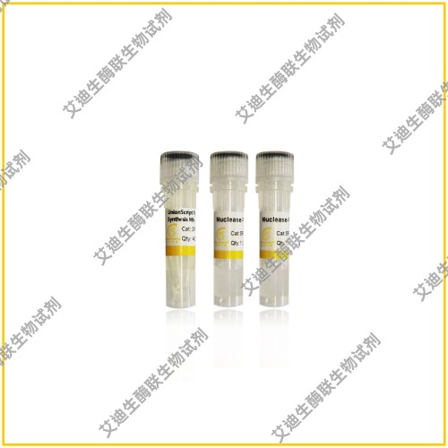 用于qPCR的UnionScript第一链cDNA合成混合物，高效RT-PCR预混液