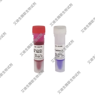 GN100bp DNA Ladder II 用于qPCR产物标定100~400/*500/600/700bp