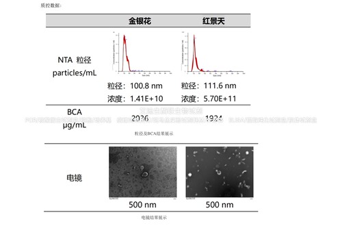 umibio®植物囊泡提取纯化试剂盒(干品植物)高效获得植物组织囊泡