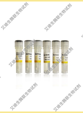 用于qPCR的UnionScript第一链cDNA合成混合物 含 dsDNase快速高效