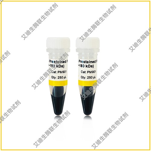 GS Prestained Protein Ladder(10~180 kDa) 彩色预染蛋白Marker