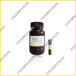 组织/细胞RIPA裂解液(强/中/弱)IP裂解液,快速裂解细胞/组织/菌类