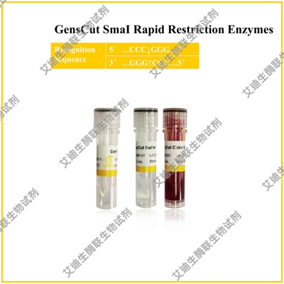 GensCut SmaI 快速限制性内切酶，共用一种缓冲体系 极低星号活性