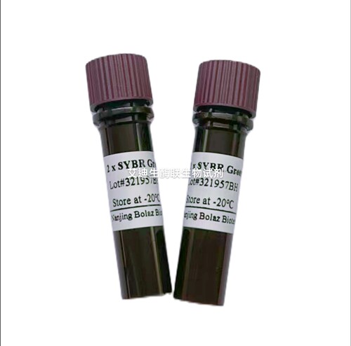 BOLAZ 2×SYBR Green qPCR Mix (Low ROX) 嵌合荧光法荧光定量PCR