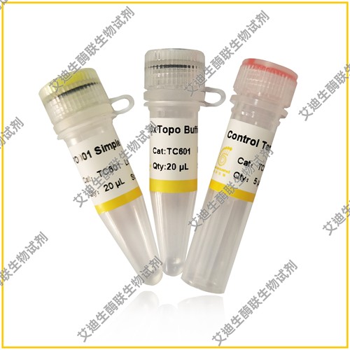 pTOPO001 Simple Cloning Kit 基于拓扑异构酶的快速克隆试剂盒