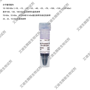 预染蛋白Marker彩虹条带Marker SDS-PAGE电泳/WB分子量标准耐洗脱