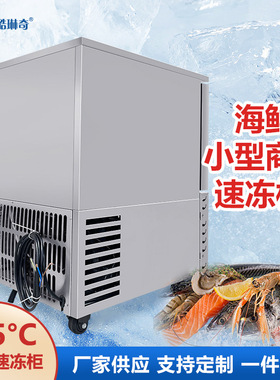 智能控温快速制冷商用小型包子饺子海鲜厂家直销-45度120L速冻机