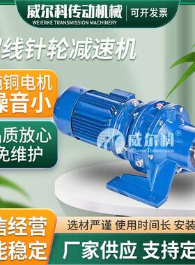 泰兴卧式/立式摆线针轮减速机BWD2/BLD2直连电机2.2W3W4W铜