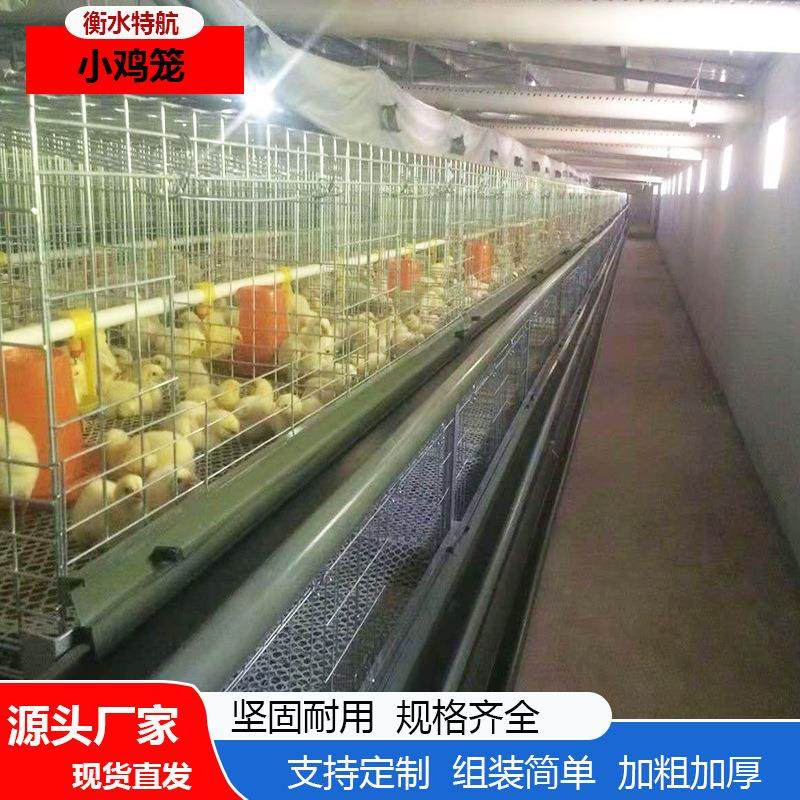 小鸡雏鸡加密养殖简单鸡笼防夹防跑小鸡笼畜牧农用养殖雏鸡笼,畜牧/养殖物资,畜牧/养殖器械,淘宝优惠券,粉丝福利购,淘宝优惠卷