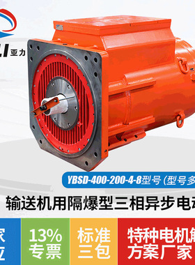 电动机 输送机用电机马达 YBSD-400-200-4-8隔爆型三相异步电动机