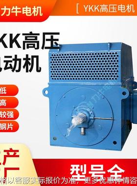 Y系列6级315W-6V-10V高压鼠笼转子三相异步电动机封闭式电机